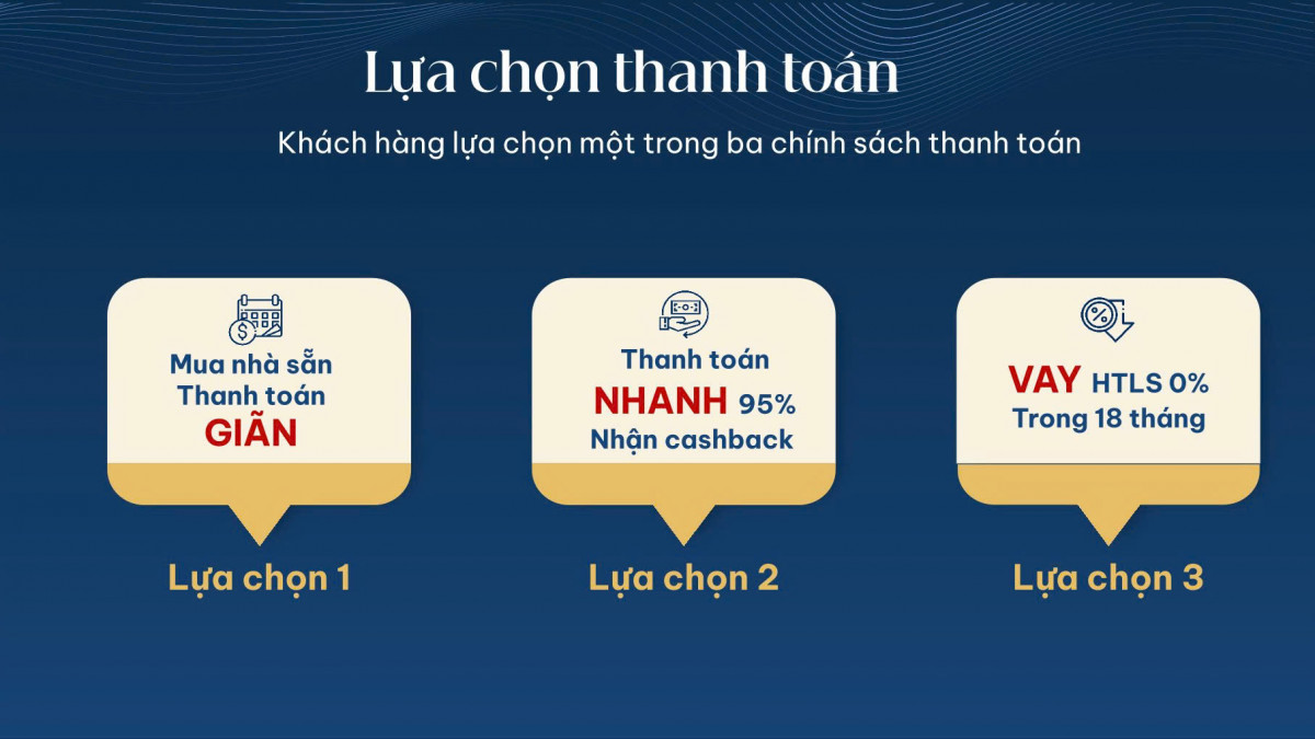 thiết kế beverly