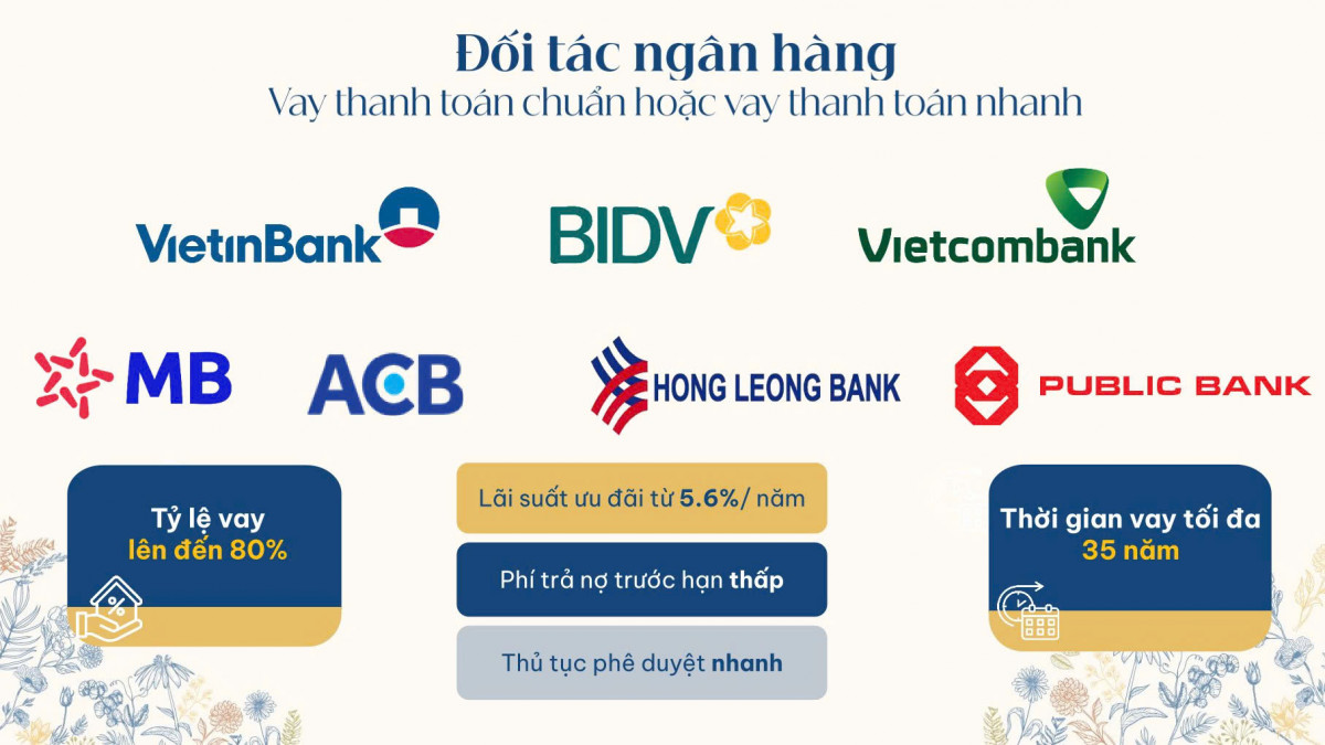 thiết kế beverly