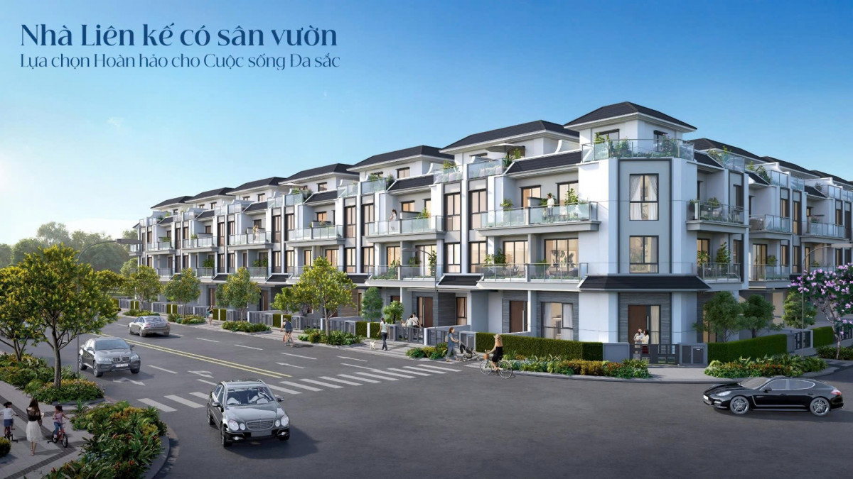 thiết kế beverly